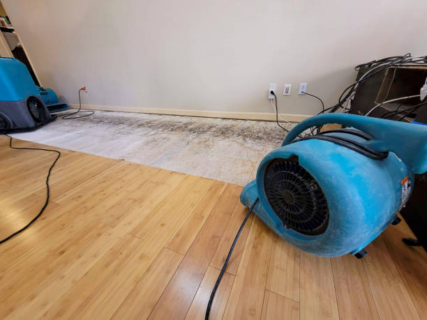 Professional Water Damage Repair technician working in Franklinton, NC